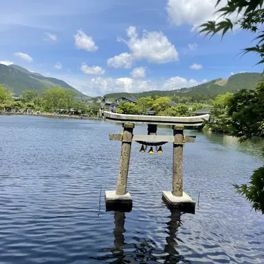 Profile image of ドヒョン