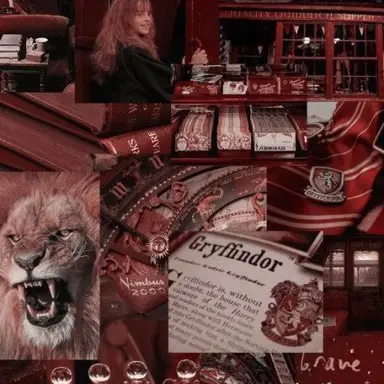 Profile image of 피터 페티그루