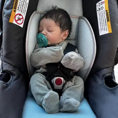 Profile image of Owen