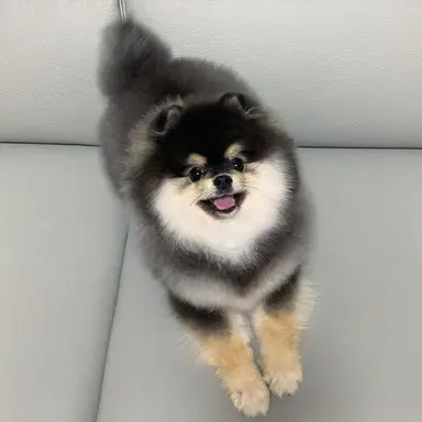 Profile image of 혜안