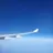 다크카카오쿠키