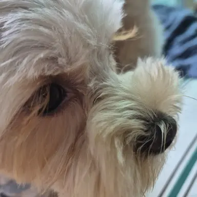 Profile image of パク・ジュニョン