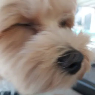 Profile image of ナム・ユジュン