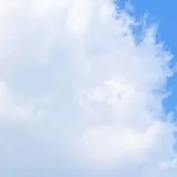 Profile image of 유저