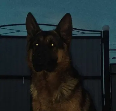 Profile image of Diesel