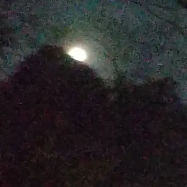 Profile image of 冬橋  航