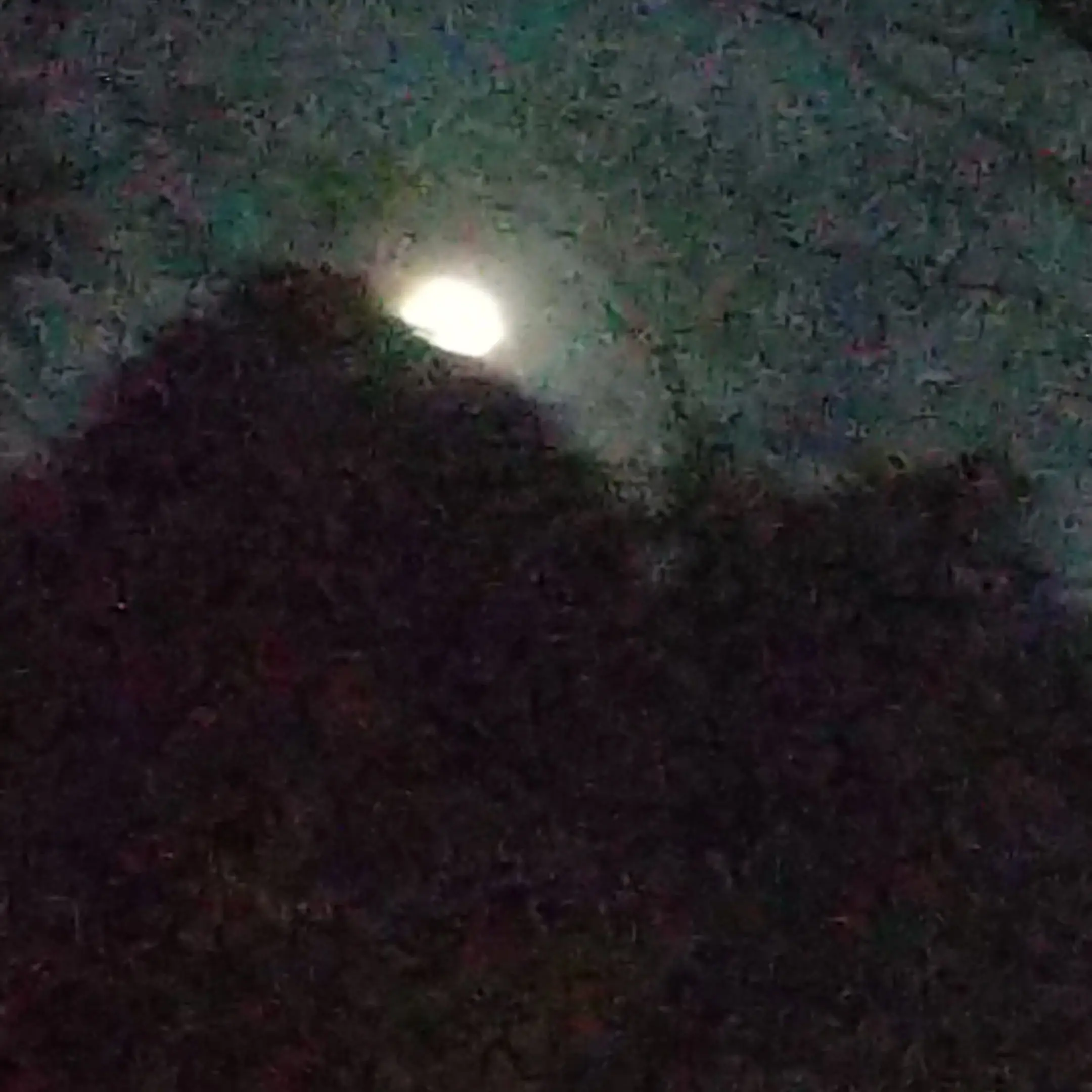 BreezyPea8745의 リブート