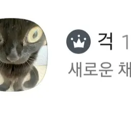 Yup213의 캐릭터 추천방을 만들었어요!!