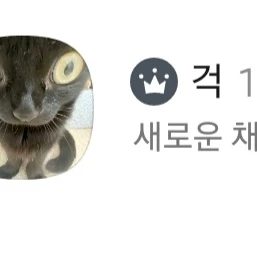 캐릭터 추천방이에요