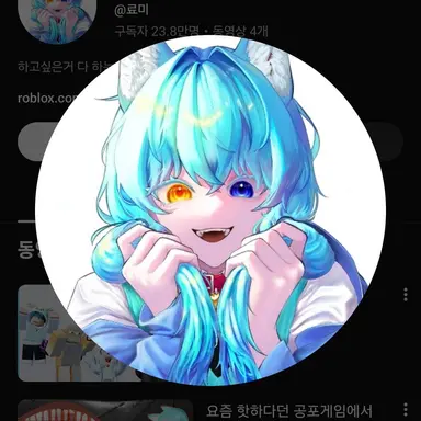 Profile image of 료미