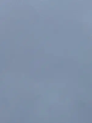 GiddyCat9307의 ブリ子にひでぇイジメされてる!!?