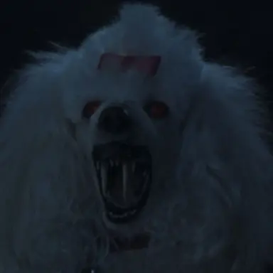 Profile image of Fifi