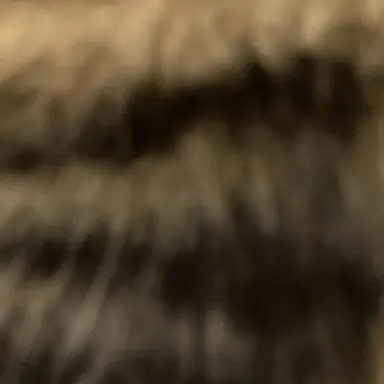 Profile image of ヘキゾフ