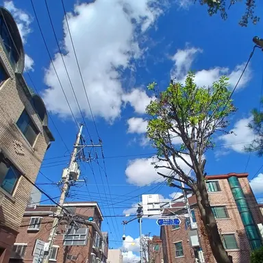 Profile image of 공룡