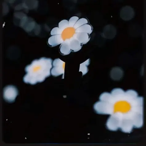 PaltryWeek6921의 5人の兄がいるあなた