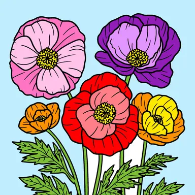 Profile image of 影一族