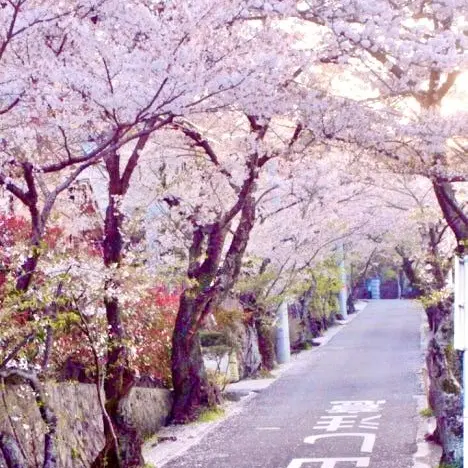 Mujin._.의 이 무진