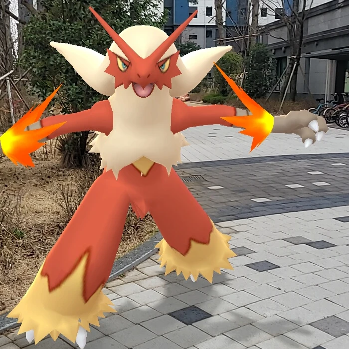 번치코
