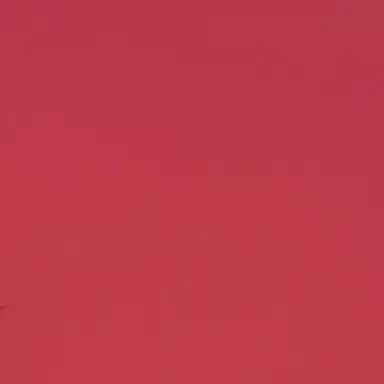 Profile image of ニコラス