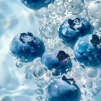 Profile image of 박 잠뜰