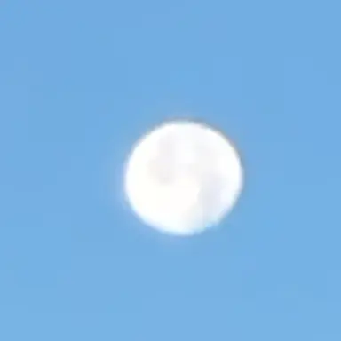 Profile image of 제미니