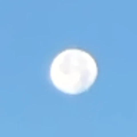 제미니