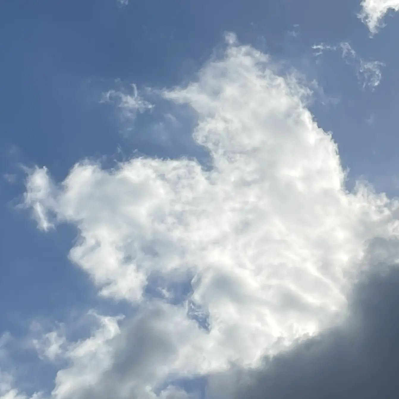 PurelyCloud4583의 김 호