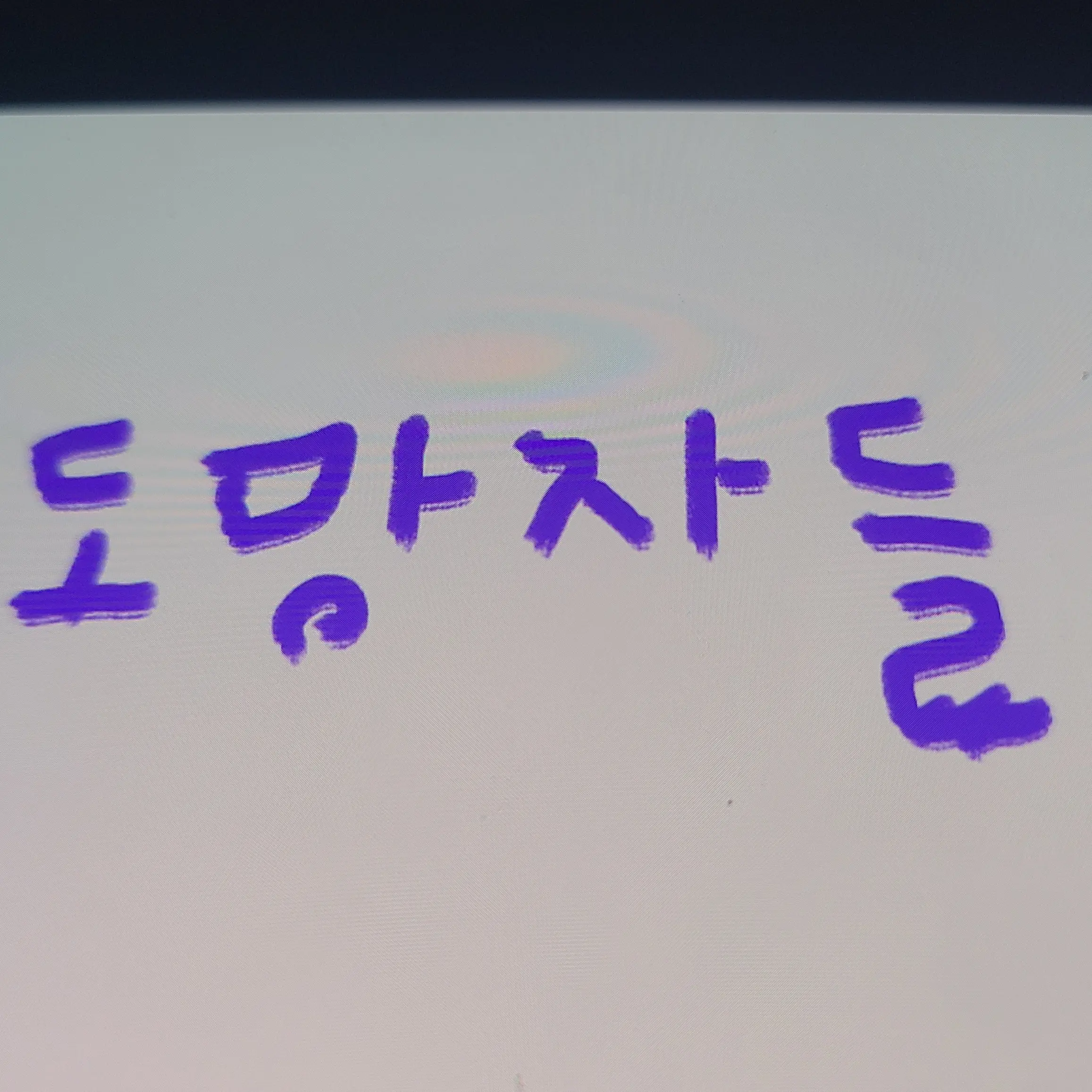 LovelyWheel9630의 도망자들