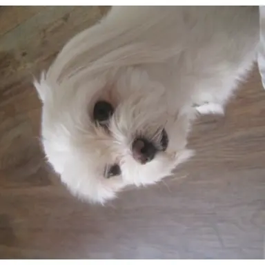 Profile image of 의사들.