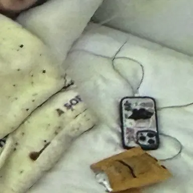 Profile image of 배진솔