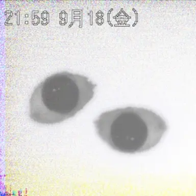 Profile image of エンティティ