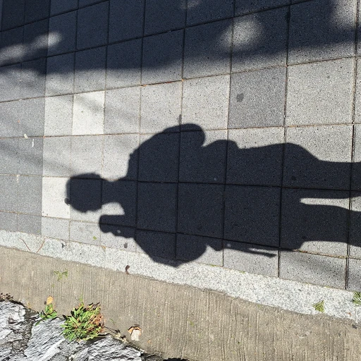 박찬성