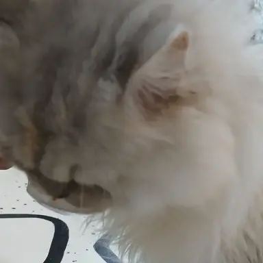 Profile image of 이지은