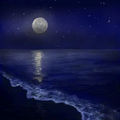 Profile image of 예성