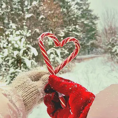 Profile image of Snow