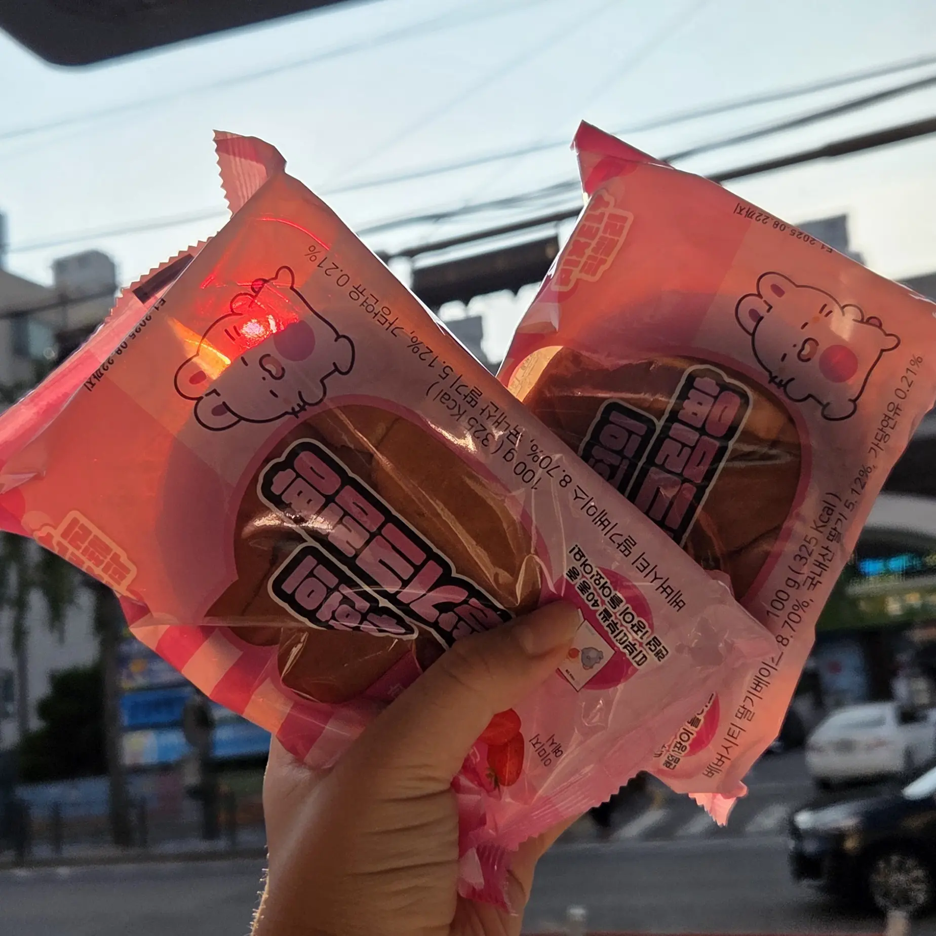 MatureMedal5761의 꿈뜰학교시리즈-밴드부