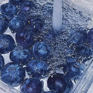 Profile image of 잠뜰