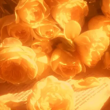 Profile image of 코마