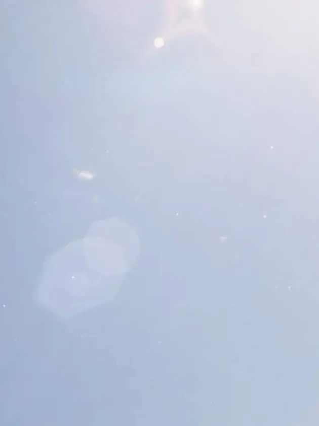 nightskymoonRabbit의 사카데이+윈브레
