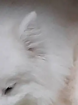 PromptCrate4233의 狂悖