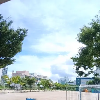 Profile image of 신아린