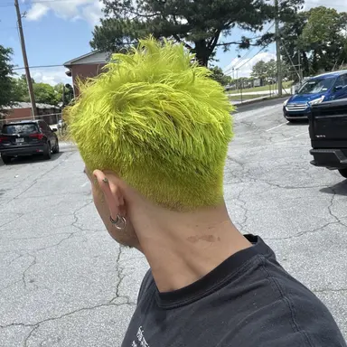 Profile image of Leo