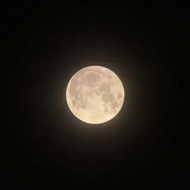 Profile image of 츠키시로 미오