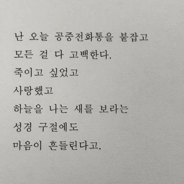 RonaLee0909의 서성은