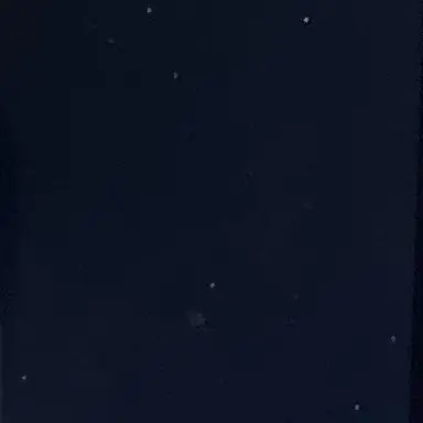 Profile image of 양정인