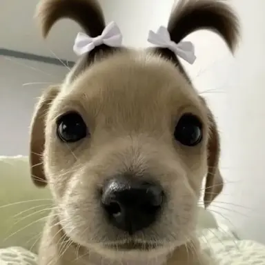 Profile image of 박서준