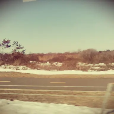 Profile image of Deion