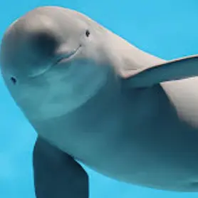 Profile image of 플레