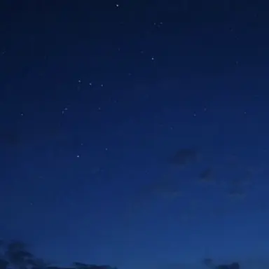 Profile image of 塩﨑太智