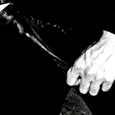 Profile image of 루트비히 폰 발덴